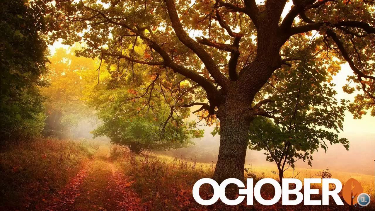 October CMS - ,    