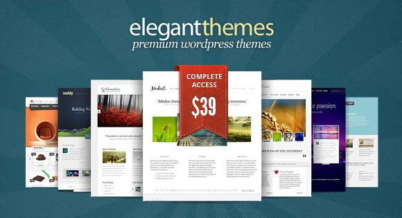      Wordpress  Elegant Themes,     